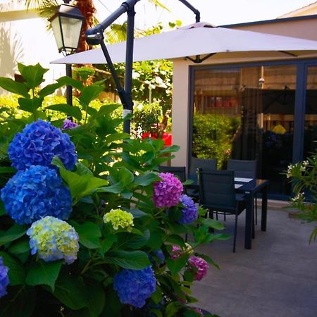 Stay In The Very Heart Of Porec - 50M To The Beach المظهر الخارجي الصورة