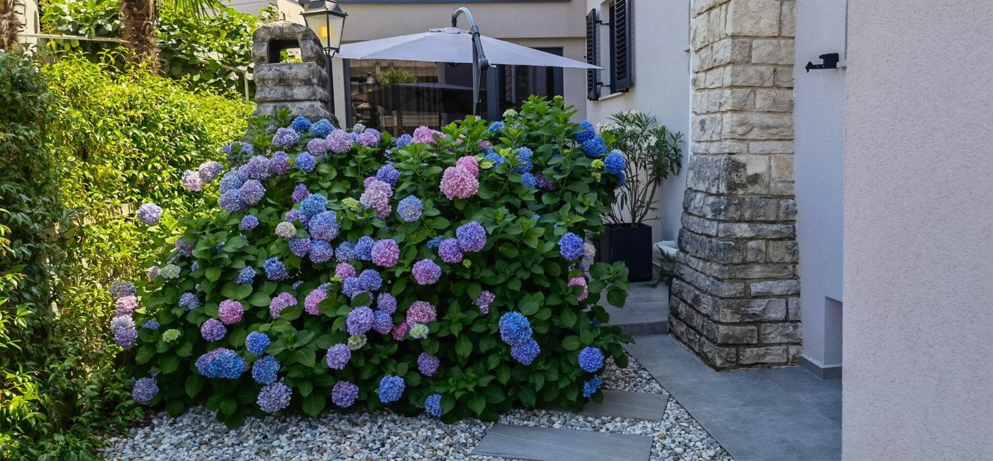 Stay In The Very Heart Of Porec - 50M To The Beach المظهر الخارجي الصورة